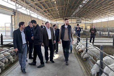 Сергей Грачев: «Иран заинтересован в сотрудничестве с нашим регионом»